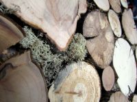 holzpaneele-for-rest-roundsticks-moos-grey-1