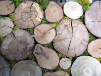 holzverkleidung-for-rest-roundsticks-moos-green-6
