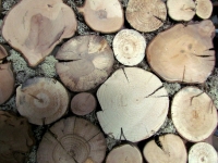 holzpaneele-for-rest-roundsticks-moos-grey-3
