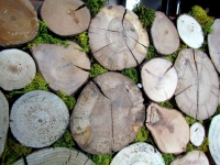 holzverkleidung-for-rest-roundsticks-moos-green-1