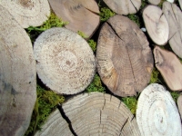 holzverkleidung-for-rest-roundsticks-moos-green-3