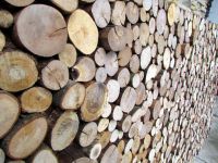 Holzpaneele - For-Rest - Sticks
