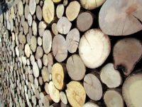 Holzpaneele - For-Rest - Sticks