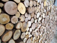 Holzpaneele - For-Rest - Sticks