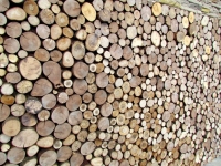 Holzpaneele - For-Rest - Sticks